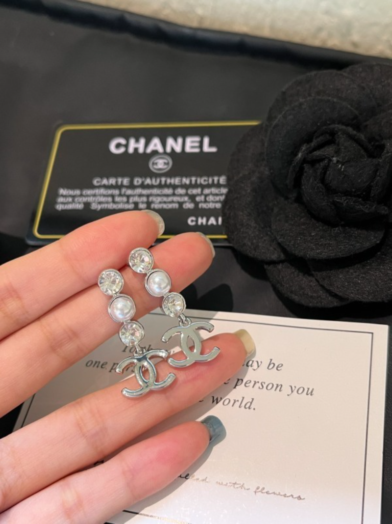 A1198  Women's new fashionable earrings and jewelry