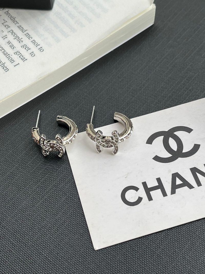 A1189  Women's new fashionable earring jewelry