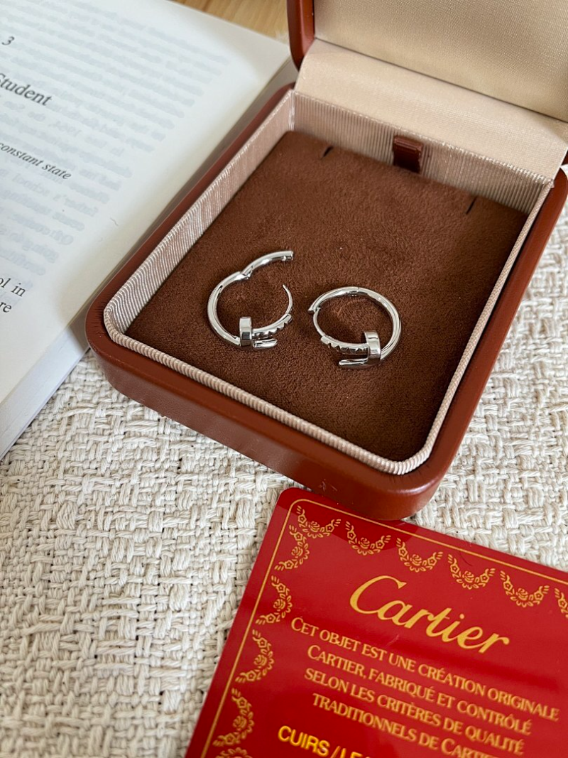 A1243   Women's new fashionable titanium steel earrings and jewelry