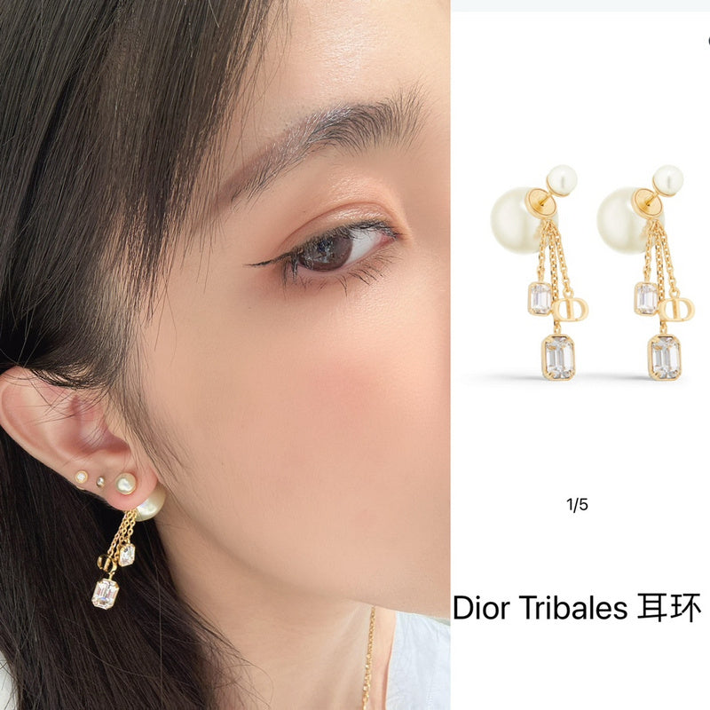 A1062  Women's new fashion earrings jewelry