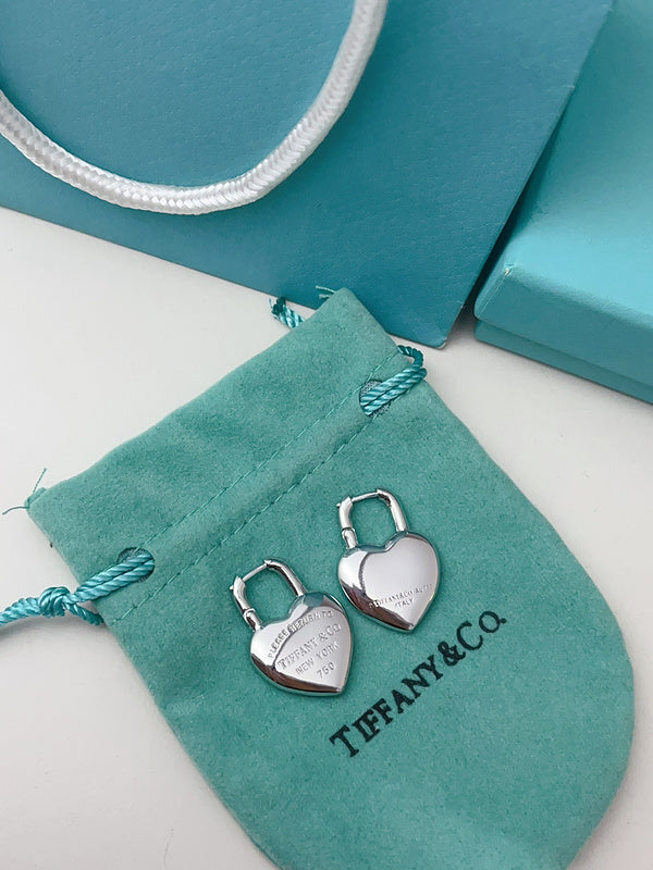 A1153 Women's titanium steel earrings and jewelry