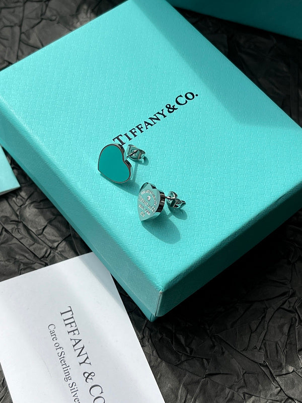 A1048   Women's titanium steel new fashion earrings