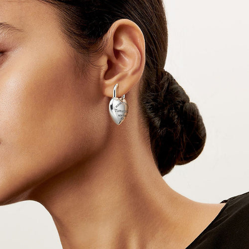 A1153 Women's titanium steel earrings and jewelry