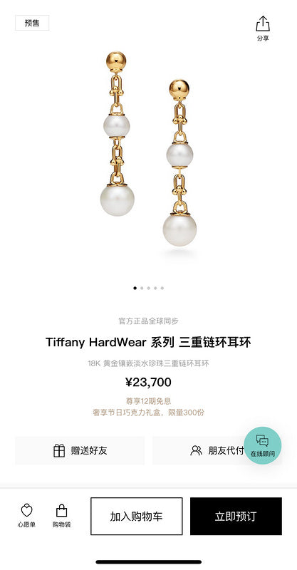 A1068 Women's titanium steel earrings jewelry