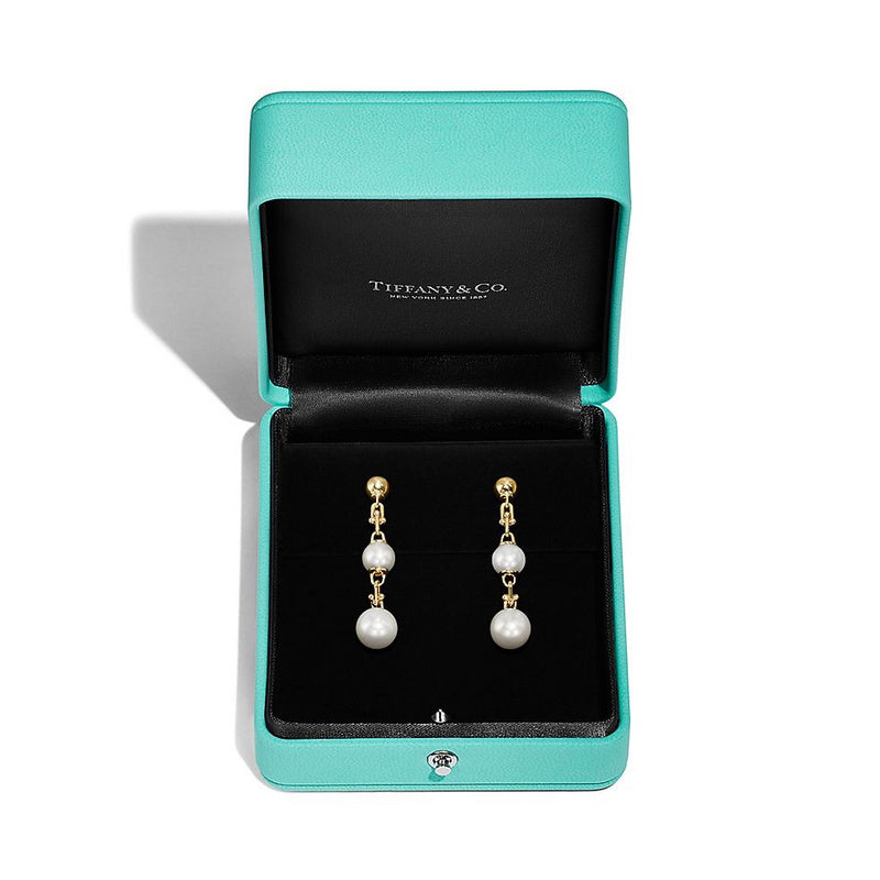 A1068 Women's titanium steel earrings jewelry