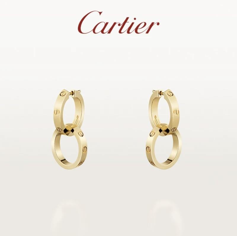 A1171  Women's titanium steel earrings and jewelry