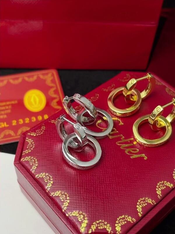 A1171  Women's titanium steel earrings and jewelry