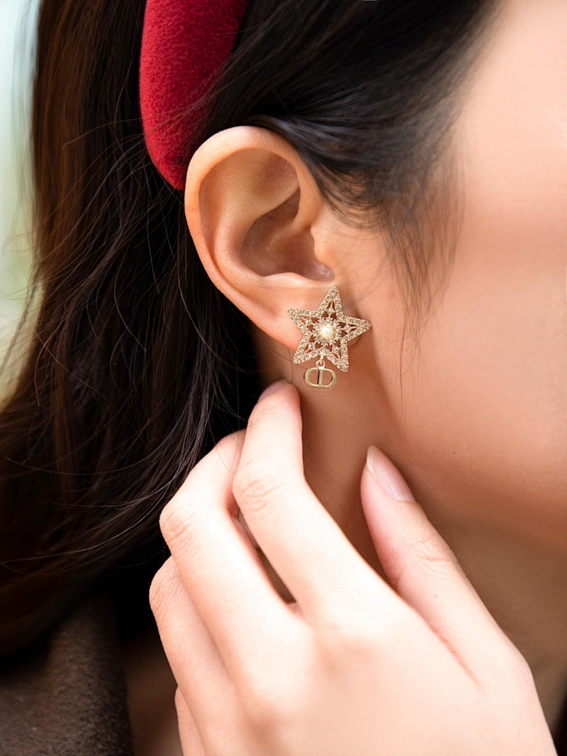 A1230  Women's new fashionable earring jewelry