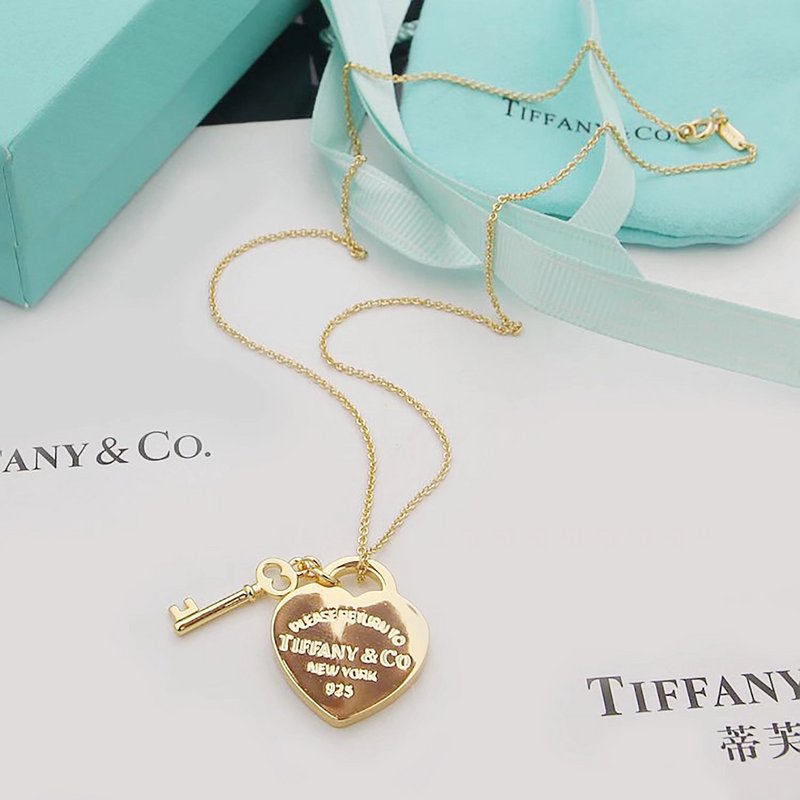 TN105 Classic gold-plated necklace   Jewelry