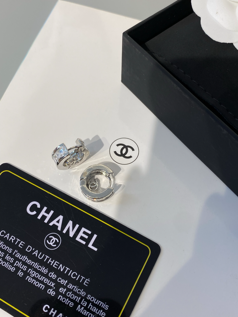 A1247  Women's new fashionable earring jewelry