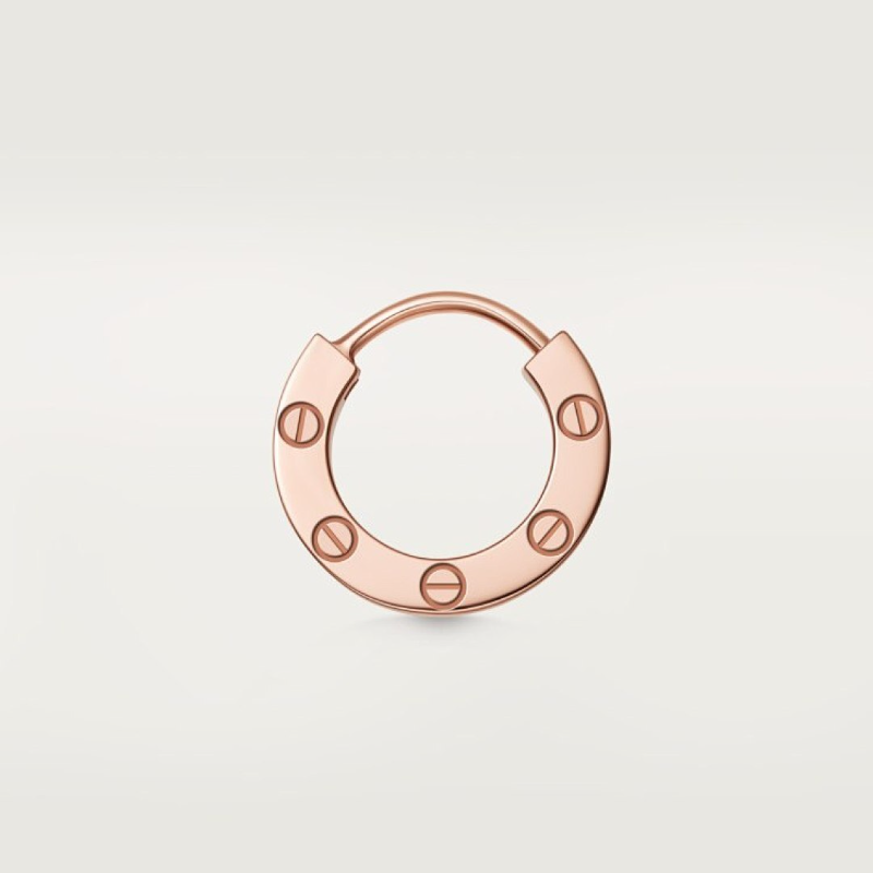 A1238  Women's new fashionable earring jewelry