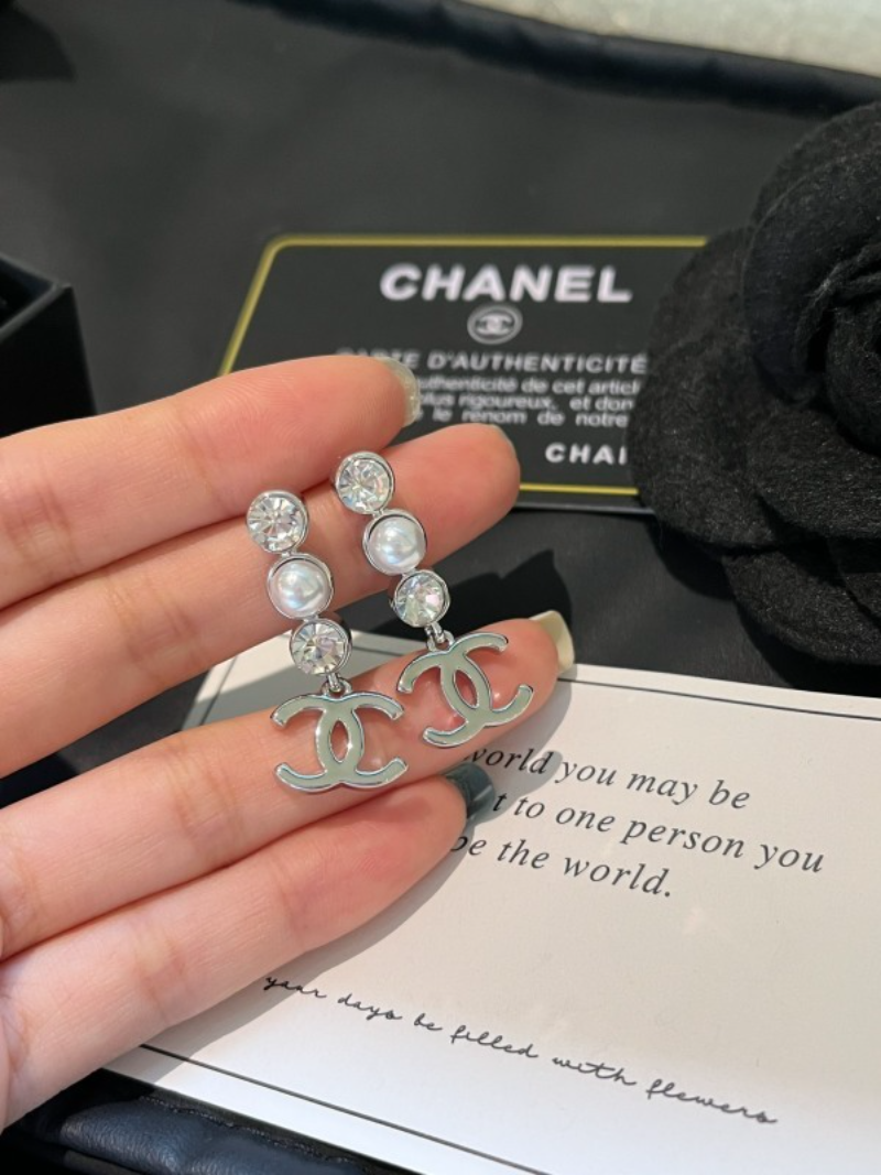 A1198  Women's new fashionable earrings and jewelry